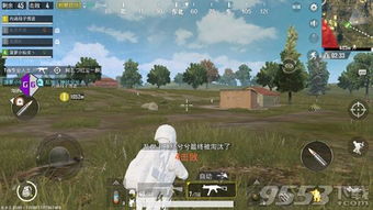 内部辅助绝地求生：揭秘游戏背后的数据密码