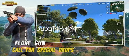 群星闪耀，辅助 PUBG：揭秘电竞圈的“神秘助手”