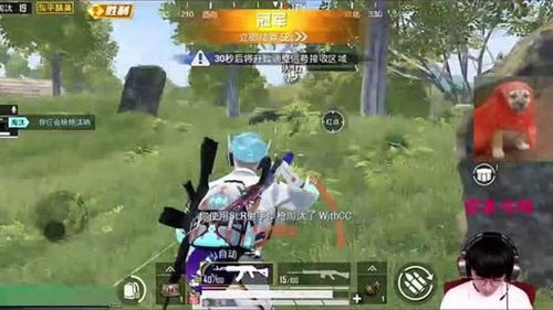 揭秘“地狱吃鸡辅助”：如何避免游戏作弊，享受公平竞技？