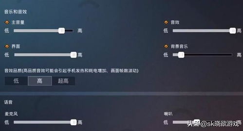 《揭秘“吃鸡”辅助设置：如何打造个性化音效，提升游戏体验？》