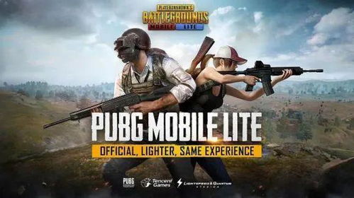 《PubG霸道辅助：揭秘游戏生态中的灰色地带——一场关于公平与公正的探讨》
