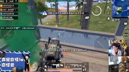 吃鸡雪梨助力下载新体验：揭秘高效下载的秘密武器