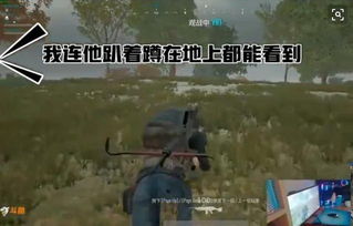 绝地求生辅助工具揭秘：透视背后的真相与应对策略