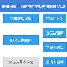 《绝地求生黑鹰辅助下载揭秘：揭秘黑鹰辅助的真相与风险，你敢尝试吗？》