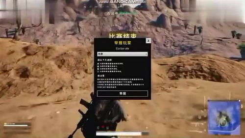 揭秘 PUBG 大哥辅助：提升游戏体验的神秘力量