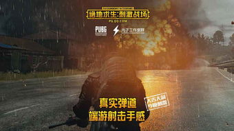 绝地求生单机辅助下载揭秘：安全风险与应对策略