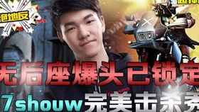 无敌老头注入吃鸡辅助：揭秘游戏作弊背后的真相与防范之道