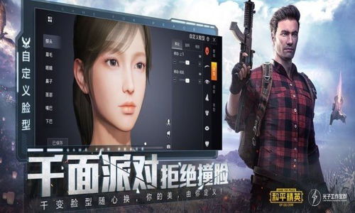 《揭秘《PUBG》辅助凤凰：掌握高飞技巧，翱翔战场之上！》
