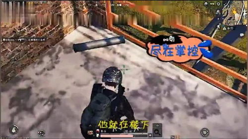 吃鸡辅助小姐姐的崛起：揭秘游戏生态中的神秘力量
