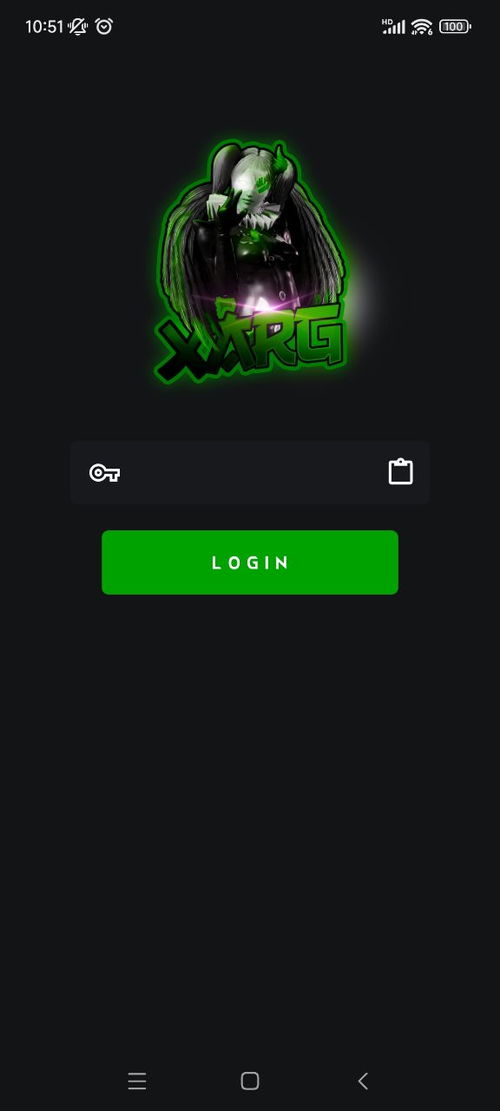 《Pubg雷辅助：揭秘游戏中的神秘力量，如何安全使用？》