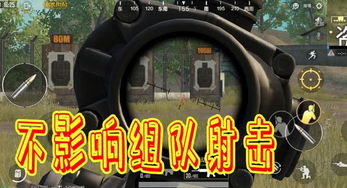 揭秘游戏辅助瞄准：如何吃鸡更胜一筹？