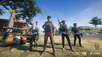 揭秘“Pubg天神辅助”：谁是游戏界的“作弊神器”？