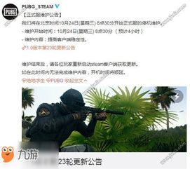 绝地求生24卡盟：揭秘游戏币交易背后的市场风云