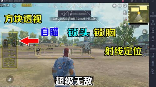 PUBG裸奔辅助：揭秘背后的风险与应对之道