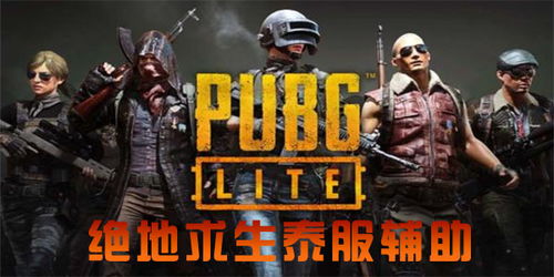 《Pubg泰辅助：揭秘游戏外挂的阴影，如何守护公平竞技？》