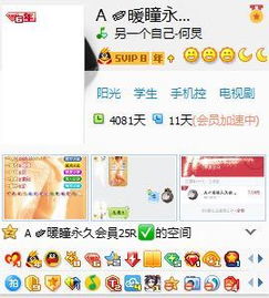 盟月卡盟：揭秘数字支付时代的创新服务模式