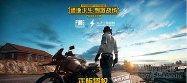 揭秘绝地求生辅助：揭秘黑科技，守护公平竞技环境
