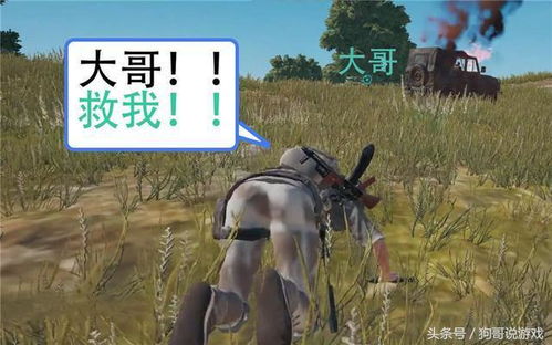 绝地求生中的“神秘力量”：揭秘奇葩辅助背后的真相