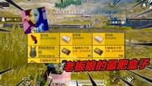 揭秘和平精英“吃鸡”辅助：苹果用户如何安全畅玩？