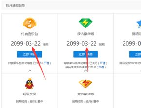 《永久卡盟：揭秘数字支付时代的无限可能——面向资讯群体的深度解读》