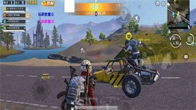 《揭秘吃鸡辅助下载攻略：如何在游戏中如鱼得水？》