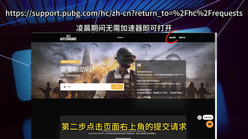 揭秘Pubg辅助：如何安全有效地删除辅助软件？